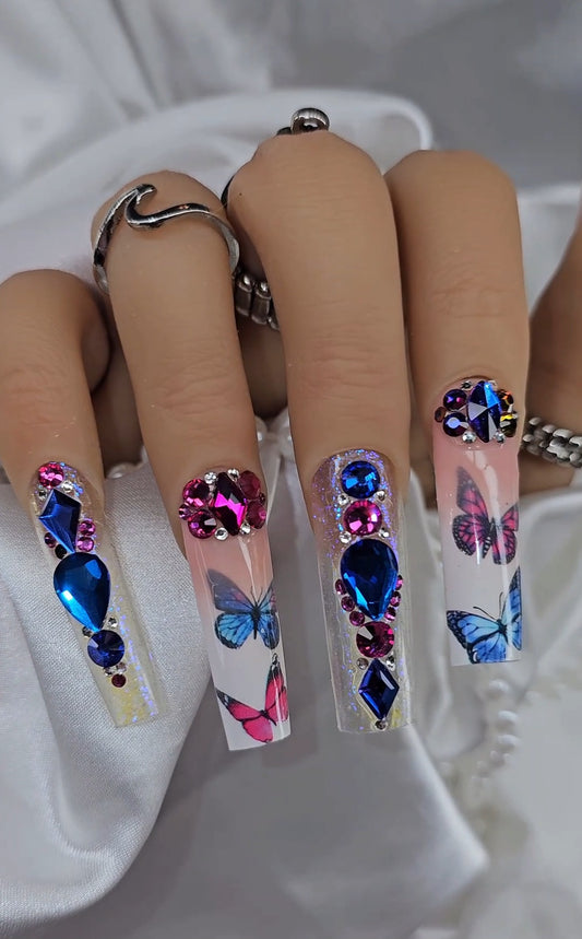 Butterfly Paradise