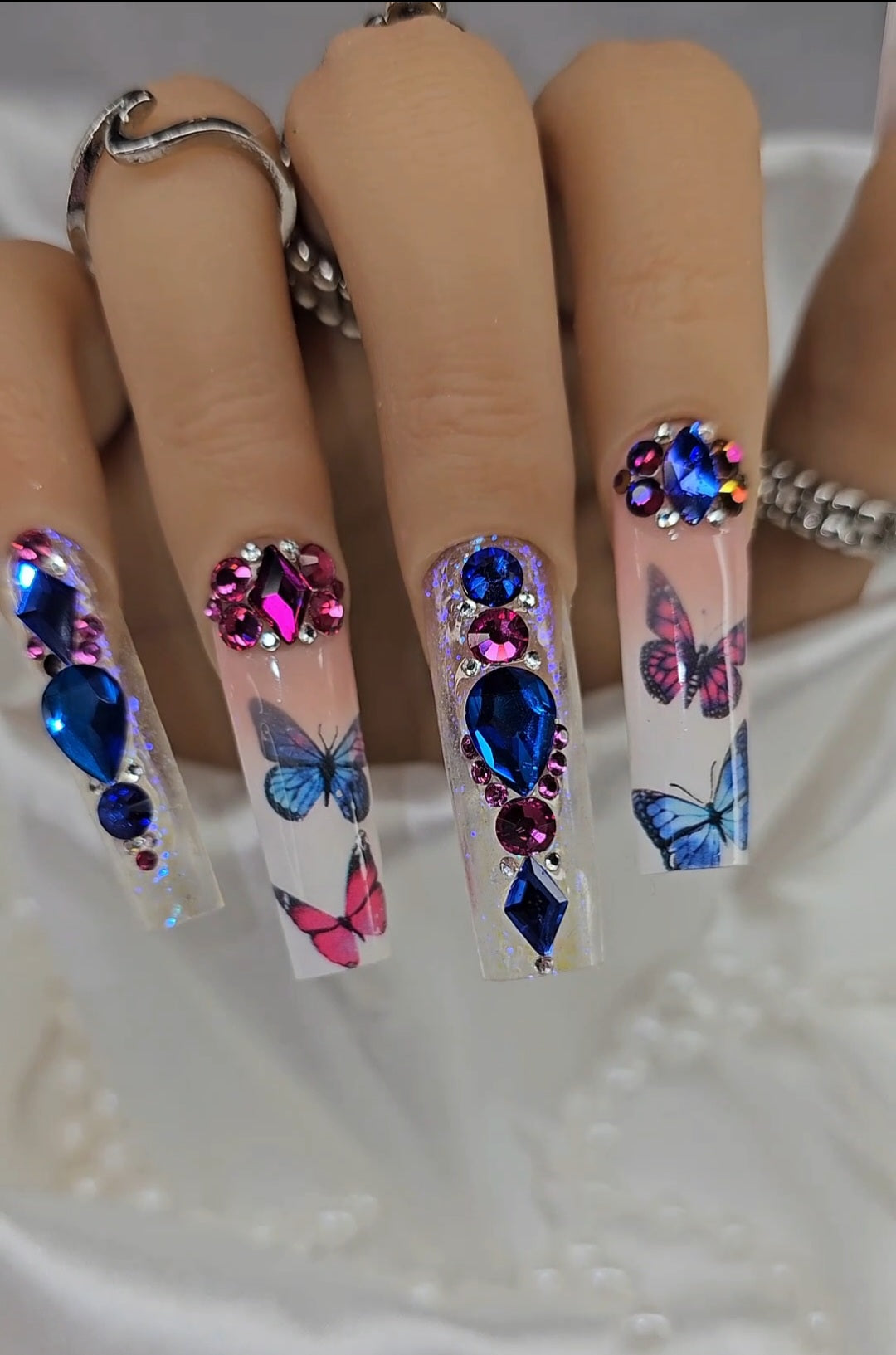 Butterfly Paradise
